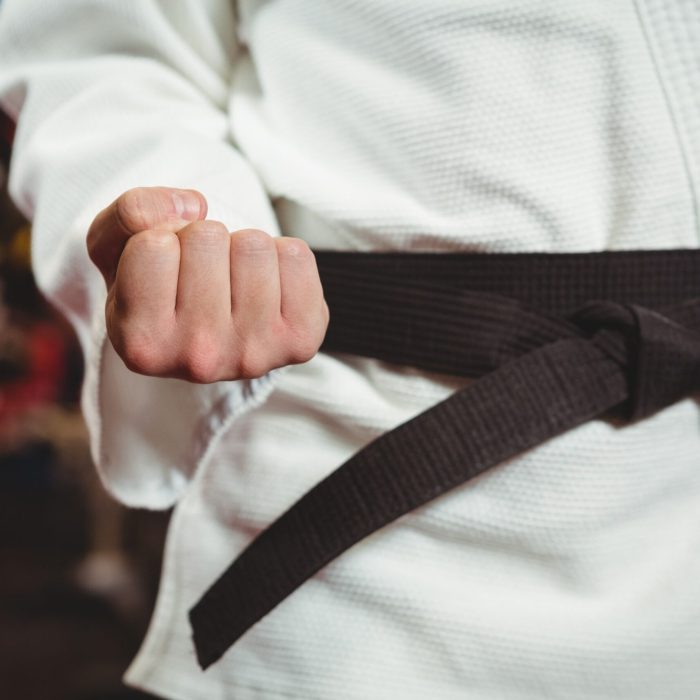 Mid section of karate player performing karate stance in fitness studio